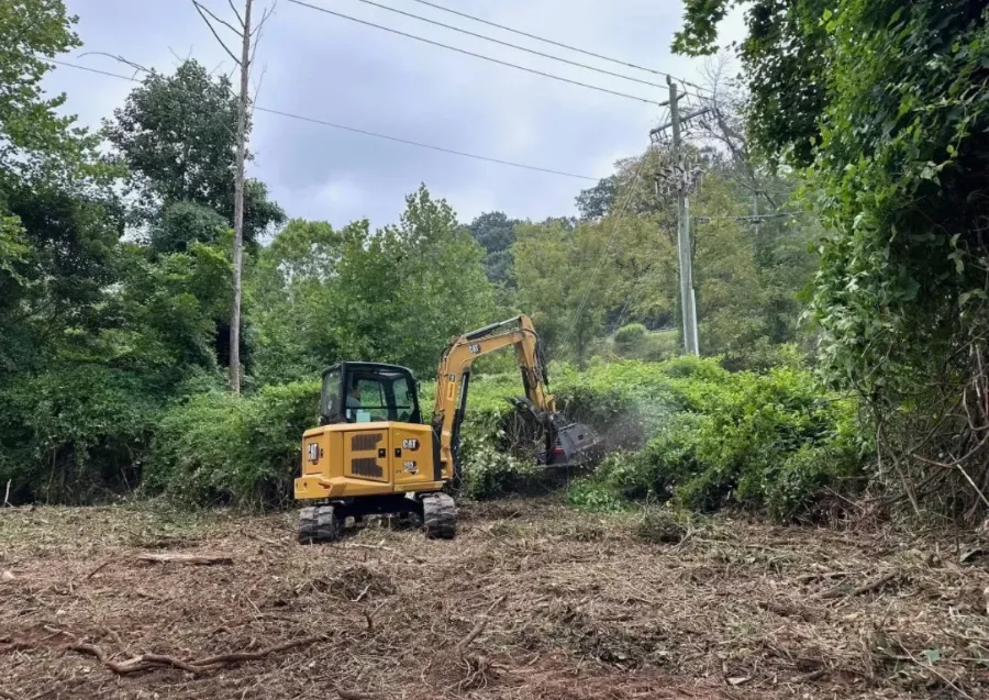 Excavator clearing brush on a lot