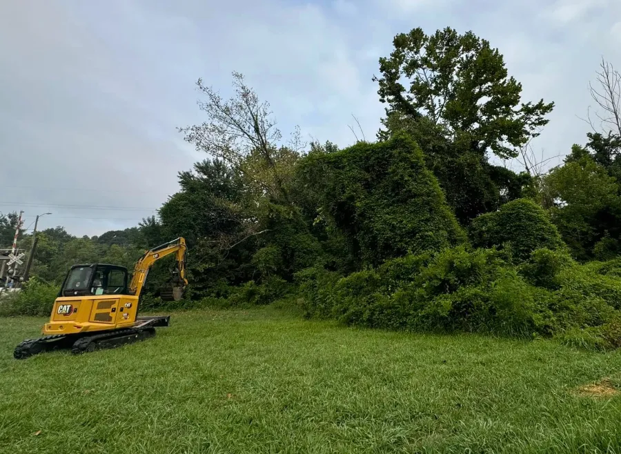 Excavator clearing overgrowth at the edge of a lawn