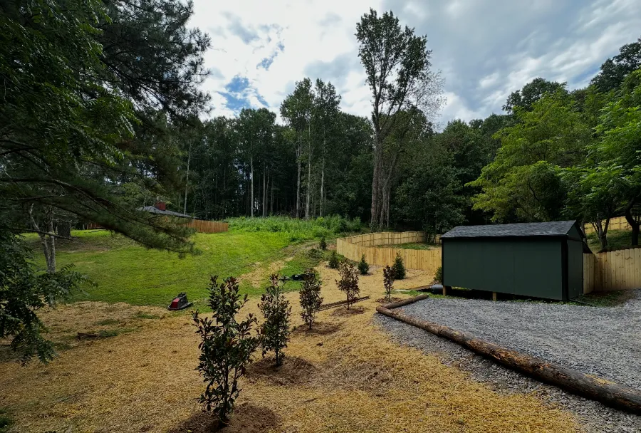 Finished graded yard with new plantings