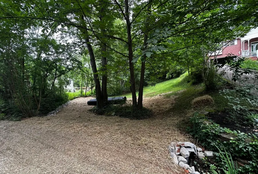 Gravel drive through the woods