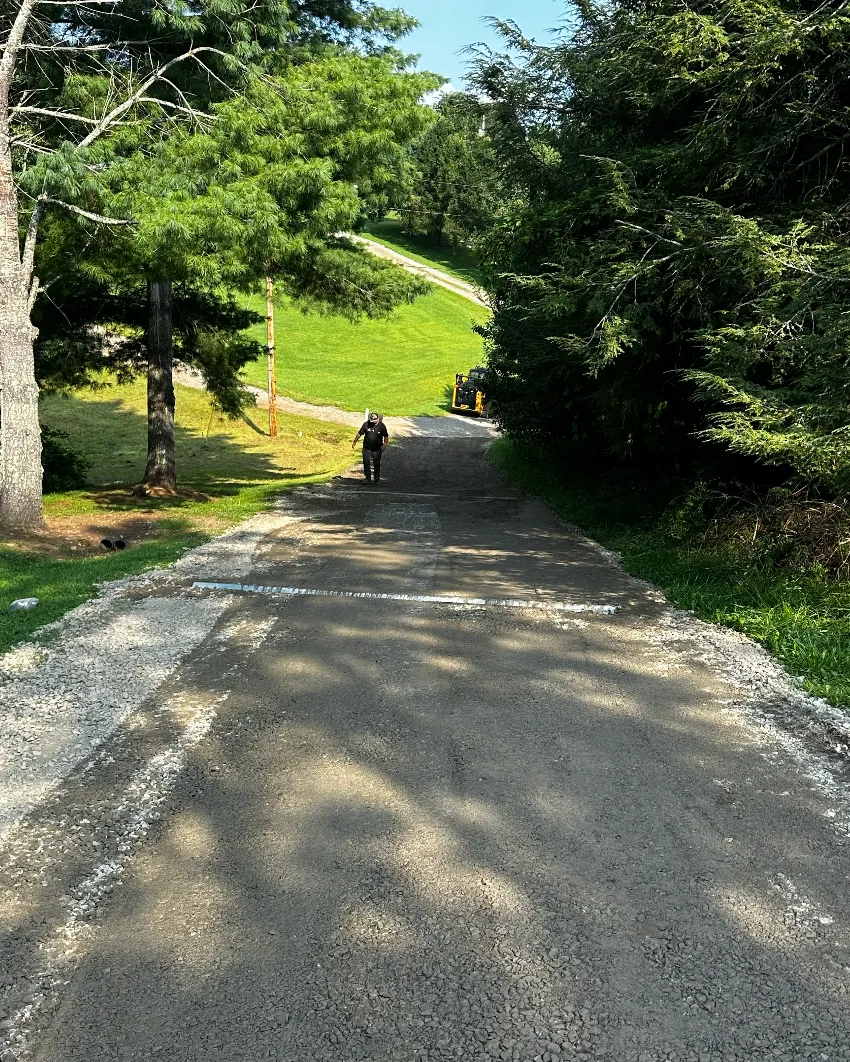 Gravel lane through a pasture