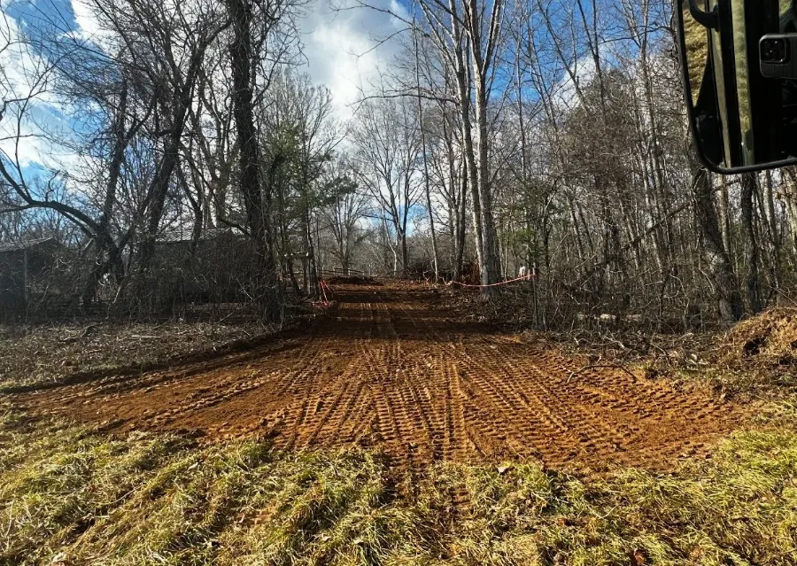 Woods cleared and mulched down to the ground